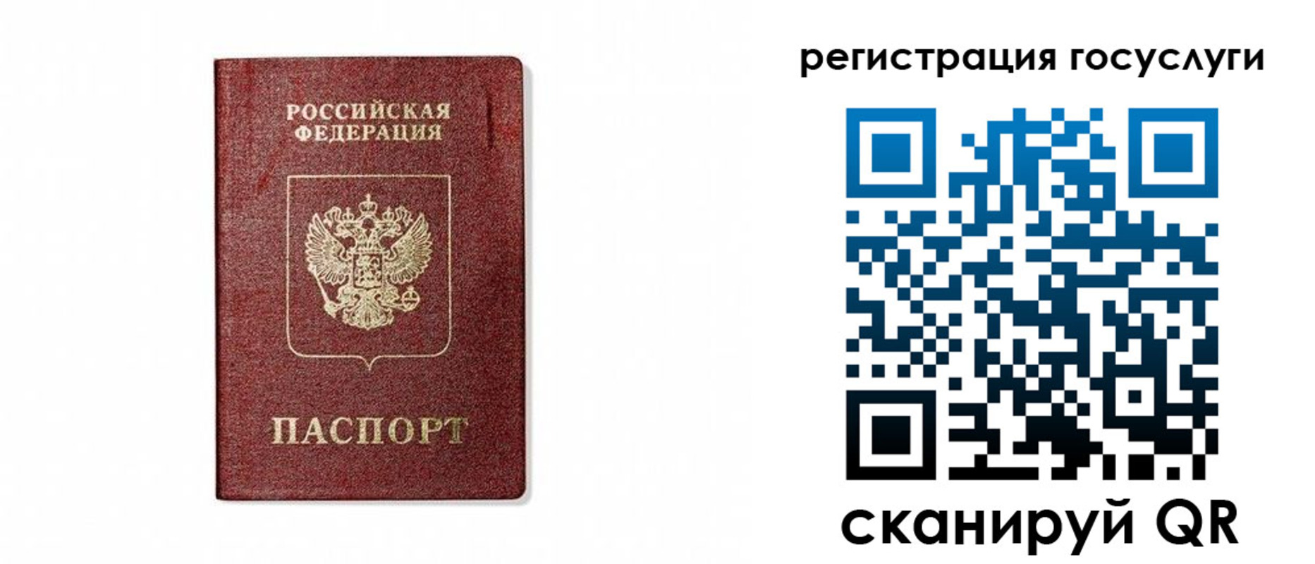 прописка паспорт в Александровске